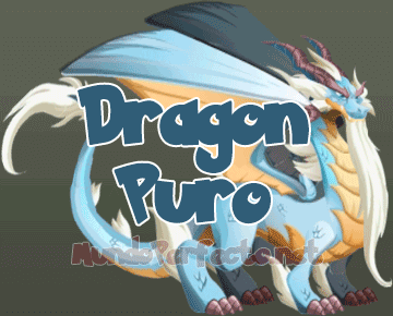 Dragon City : Dragon Puro