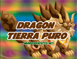 Dragon Tierra Puro