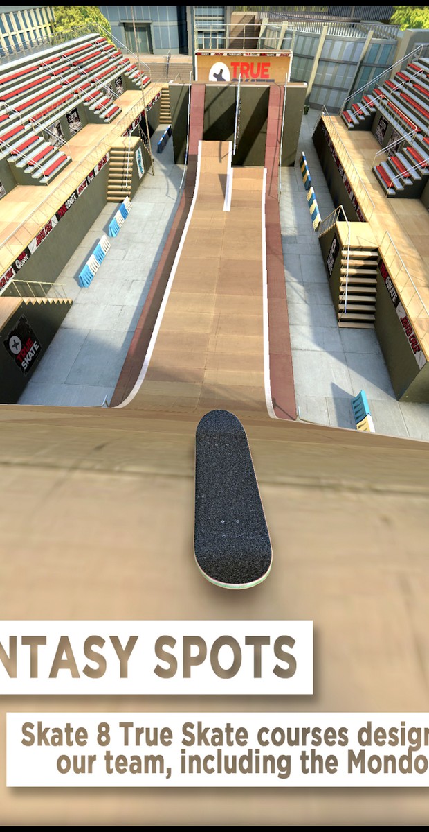  imagen 4 de True Skate