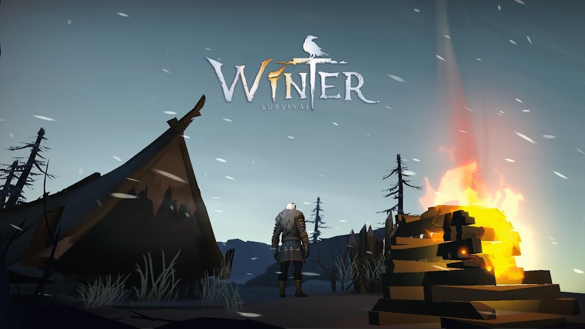  imagen 1 de Winter Survival