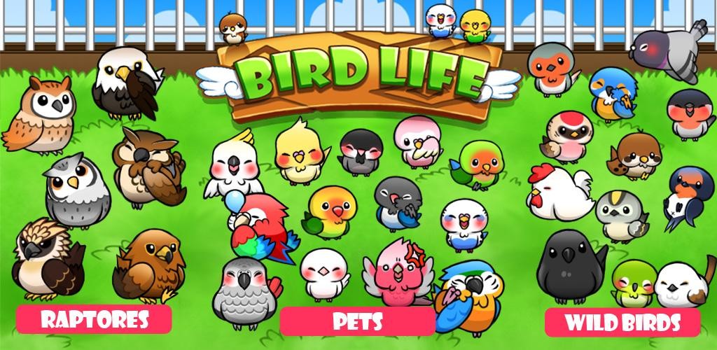 Bird Life