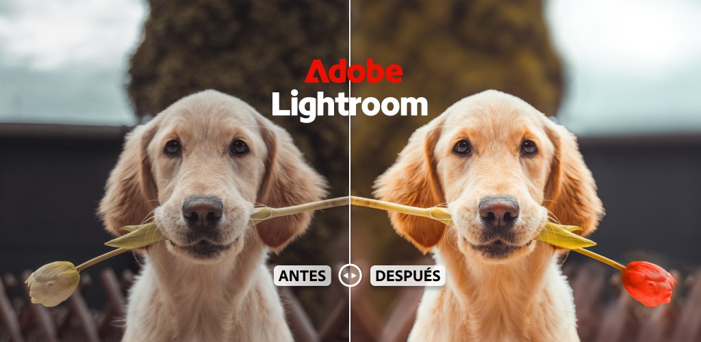 Adobe Lightroom
