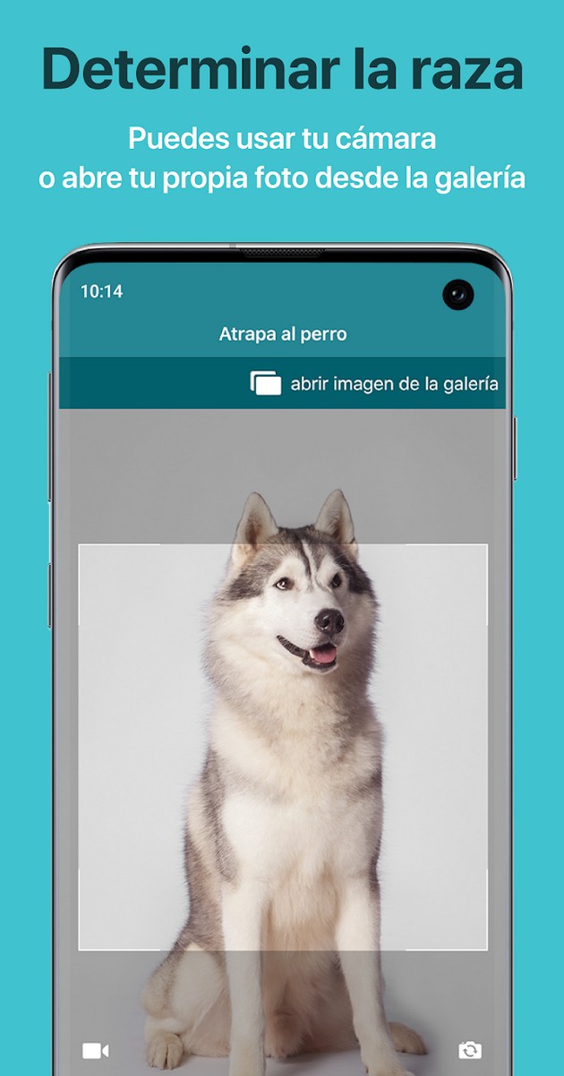 Dog Scanner Premium APK + MOD (Gratis) Ultima versión v15.0.0