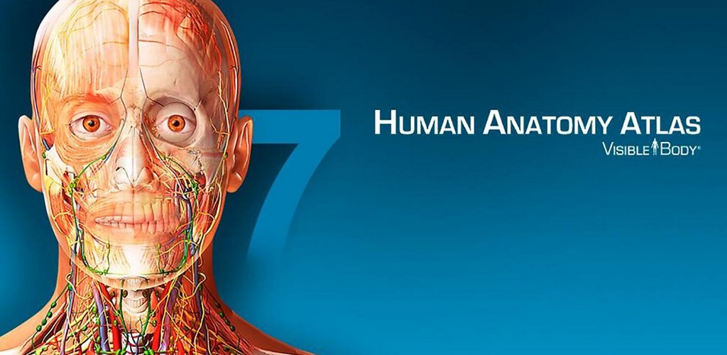 Human Anatomy Atlas 2024