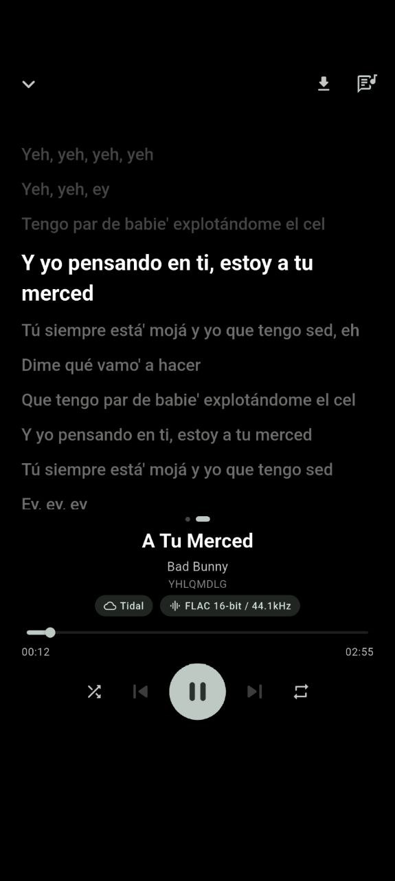 SpotiFLAC Mobile imagen 4